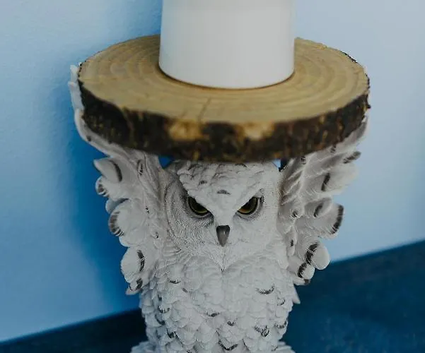 אכסניה Lalelu דרזדן