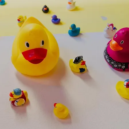 Хостел Lalelu *